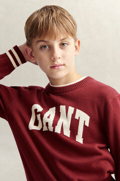 Teen Boys Intarsia Sweater — PLUMPED RED 4