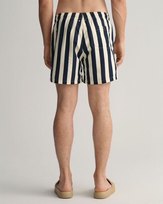 Classic Fit Block Stripe Swim Shorts