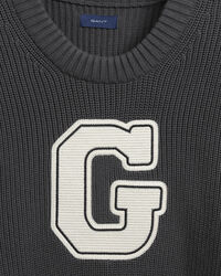 Teen Boys Collegiate Crew Neck Sweater