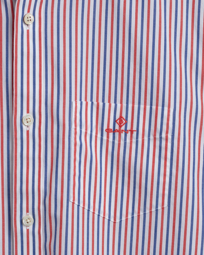 Regular Fit Stripe Broadcloth Shirt