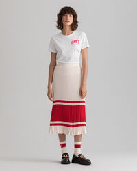 Stripe Pleated Skirt