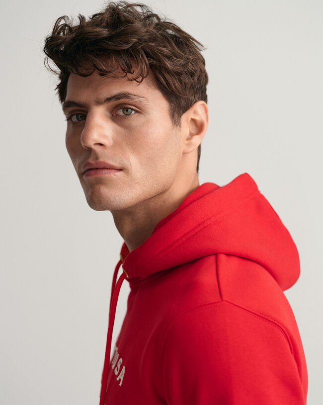 Banner Shield Hoodie