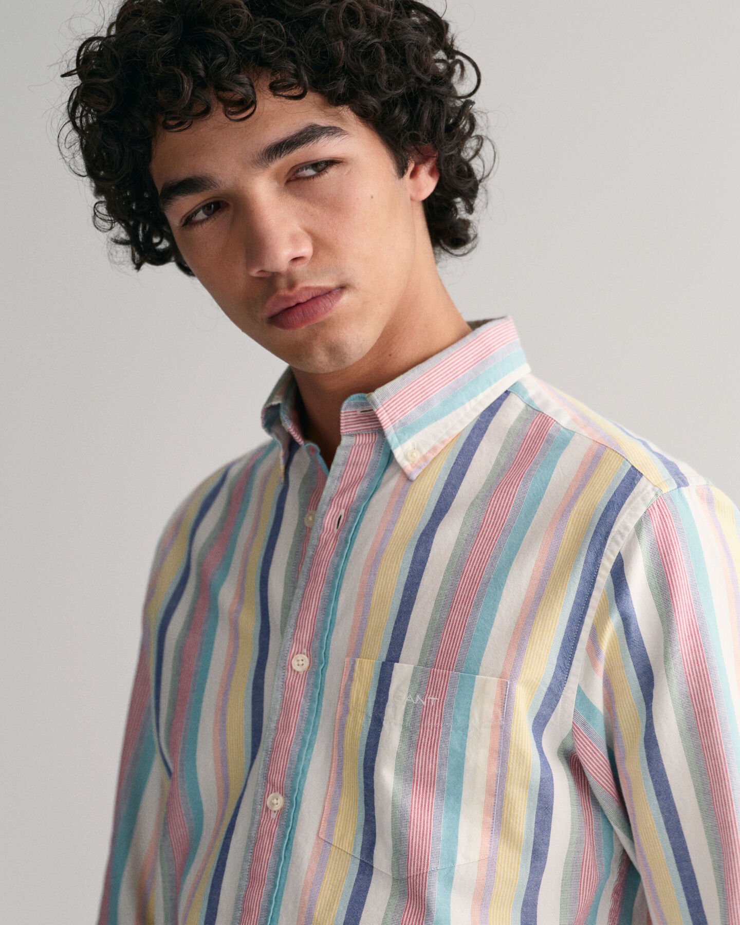 Regular Fit Multi Stripe Oxford Shirt