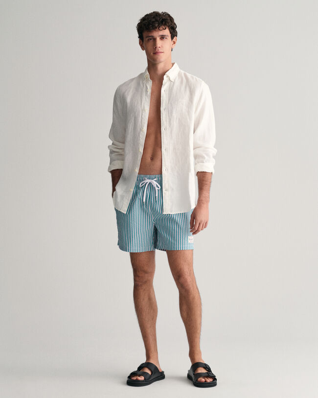 Seersucker Swim Shorts