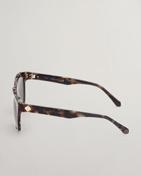 GA7191 Gifford Sunglasses