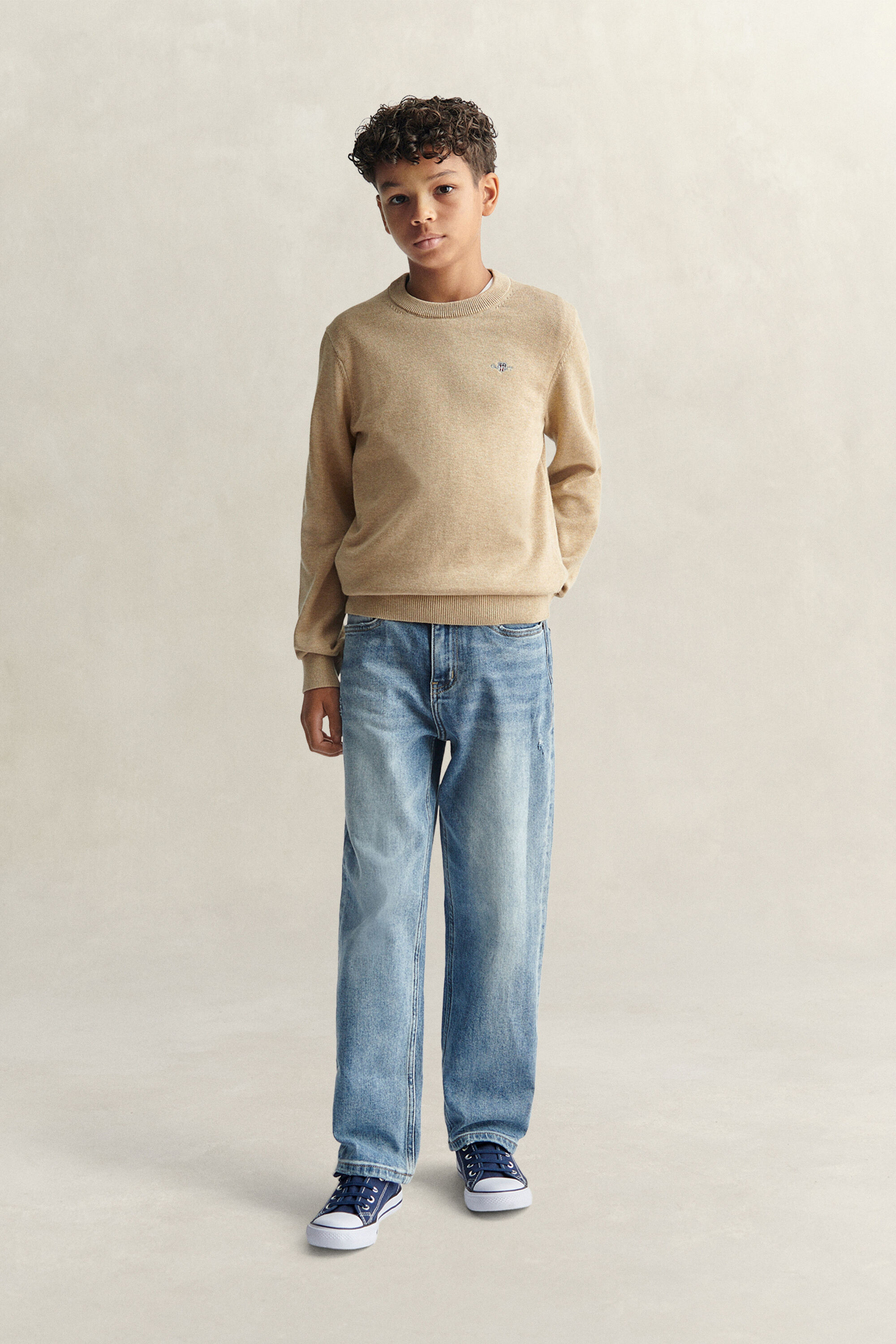 Teen Boys Shield Sweater
