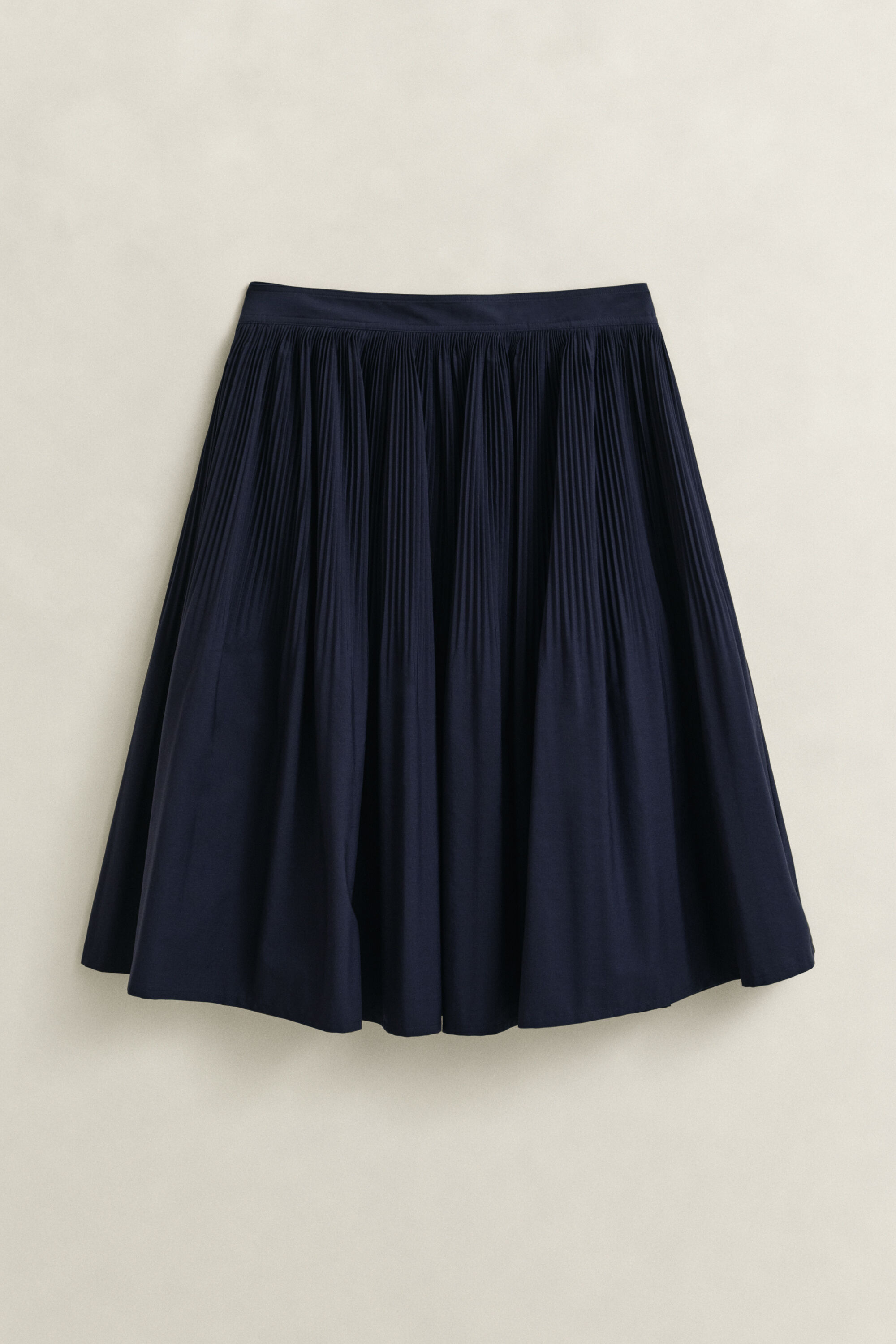 Pleated Skirt