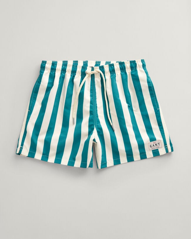 Block Striped Swim Shorts