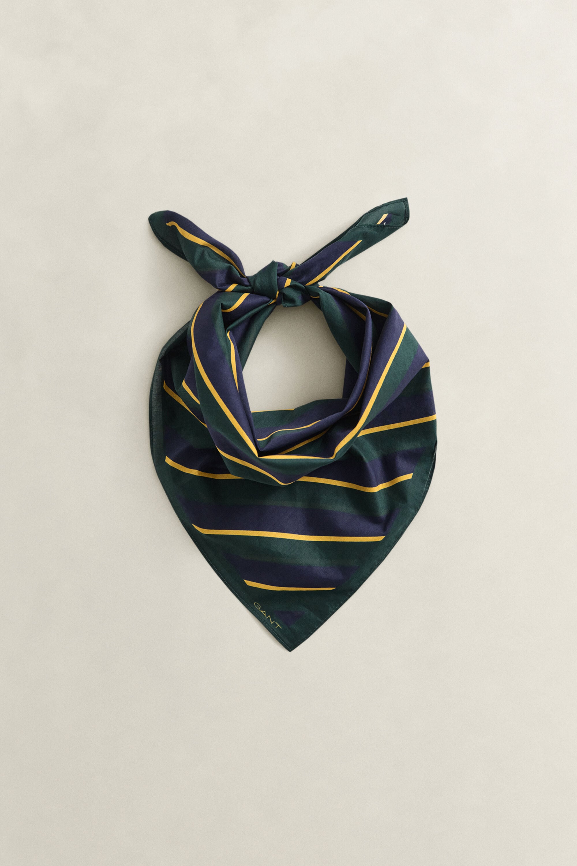 Striped Bandana