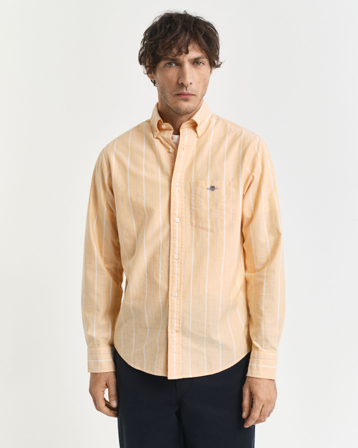 Regular Fit Striped Classic Oxford Shirt