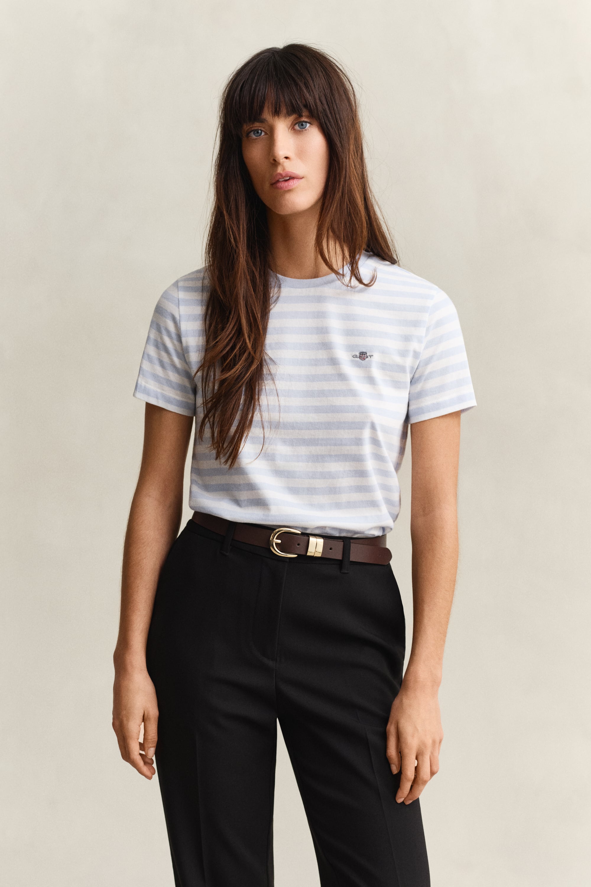 Gant Women's Light Blue Striped Shield T-Shirt (S)